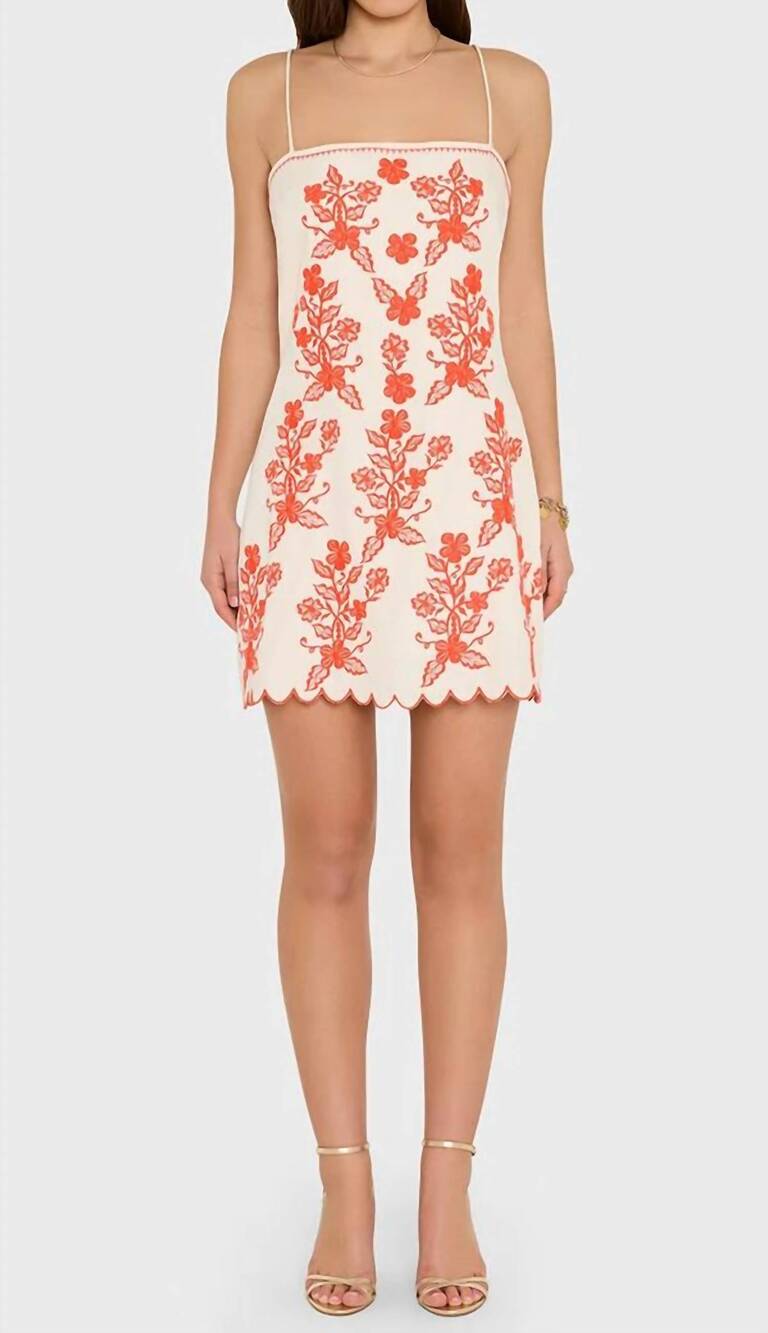 NEW AMANDA UPRICHARD coraline mini dress in natural combo